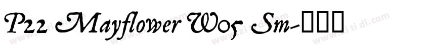 P22 Mayflower W05 Sm字体转换